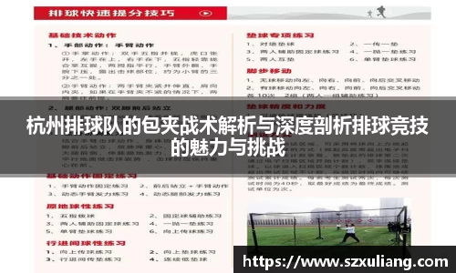 杭州排球队的包夹战术解析与深度剖析排球竞技的魅力与挑战